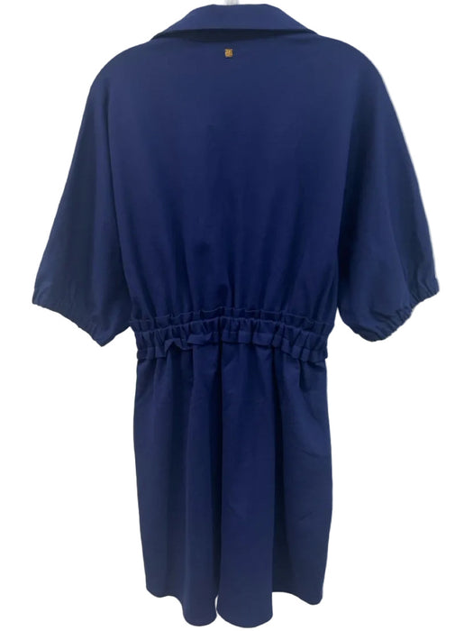 Emily McCarthy Size M Royal Blue Rayon Blend Short Sleeve Collar Dress